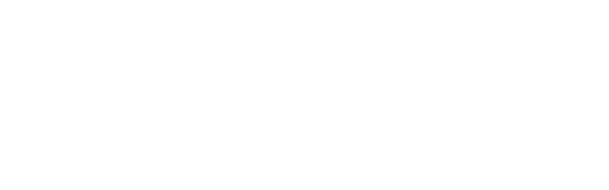 Singular Trip